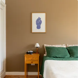 Parede pintada na cor Estátua de Bronze